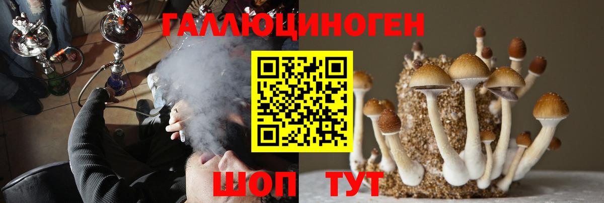 Галлюциногенные грибы мухоморы  Вход с VPN  Печора 